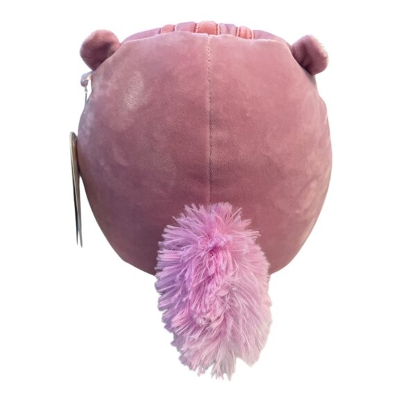 Squishmallows Allina Pink Squirrel Plush – 8" with Tags – 2023 Original Kellytoy - Picture 3 of 5